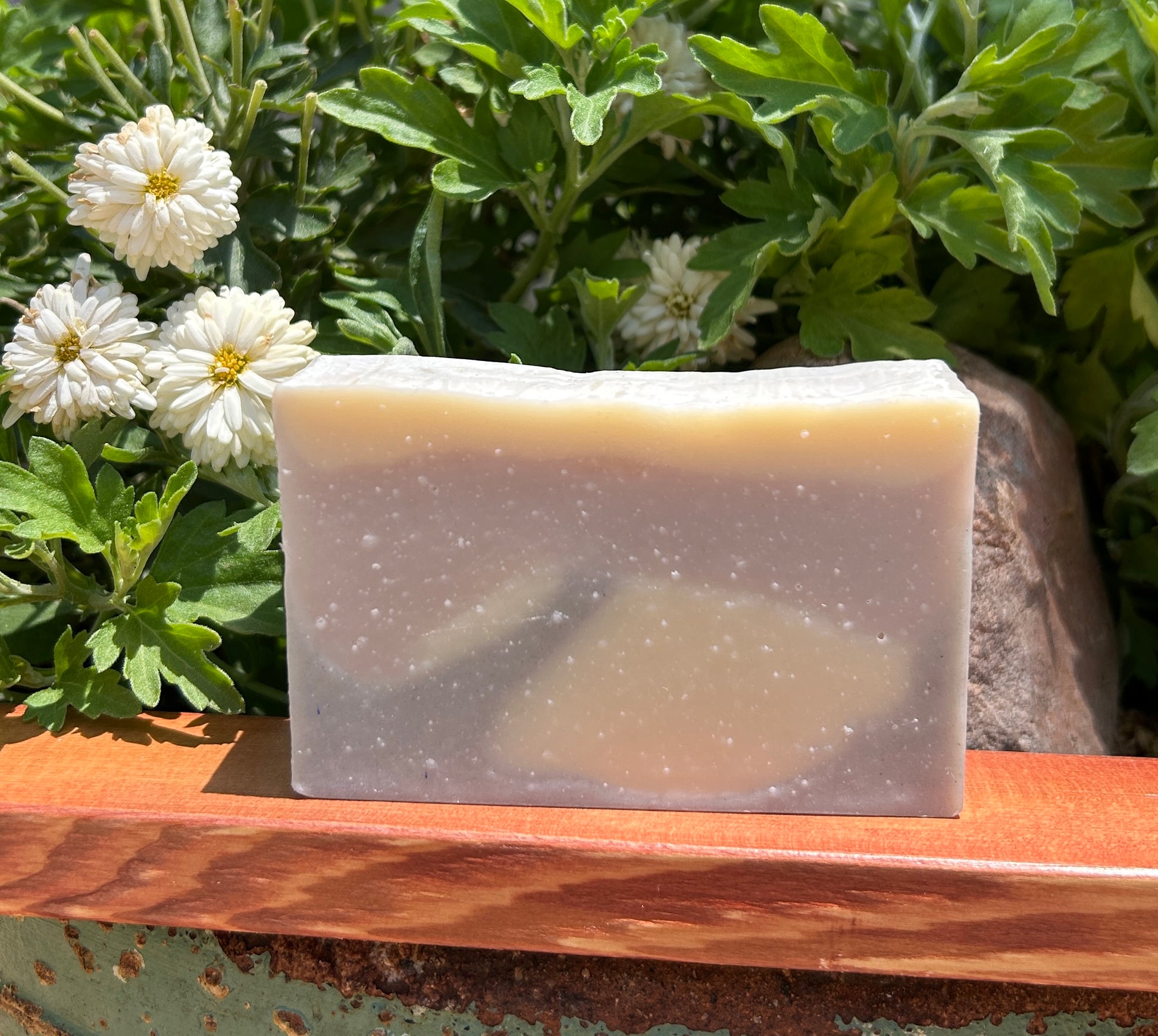 Comfy Coconut Bar
