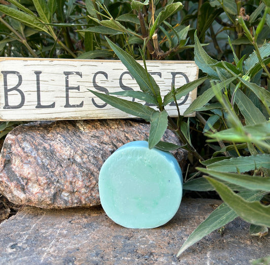 Sun and Sage Soap-73